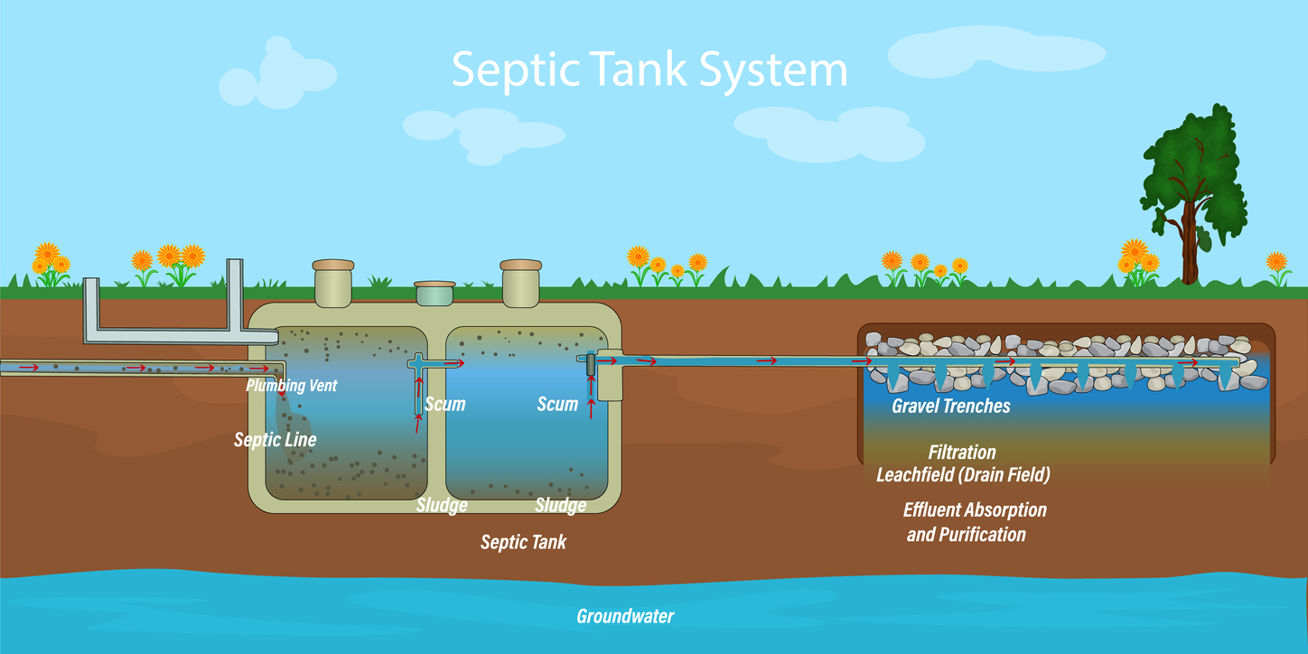 septic tank graphic